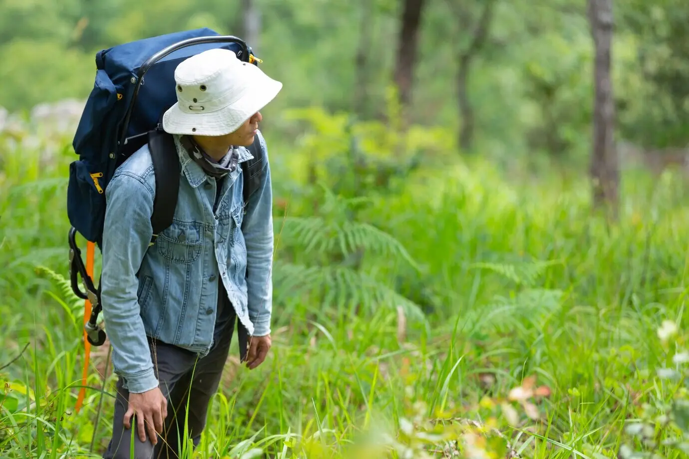 Ein fröhlicher Wanderer geht mit einem Rucksack durch den Wald.